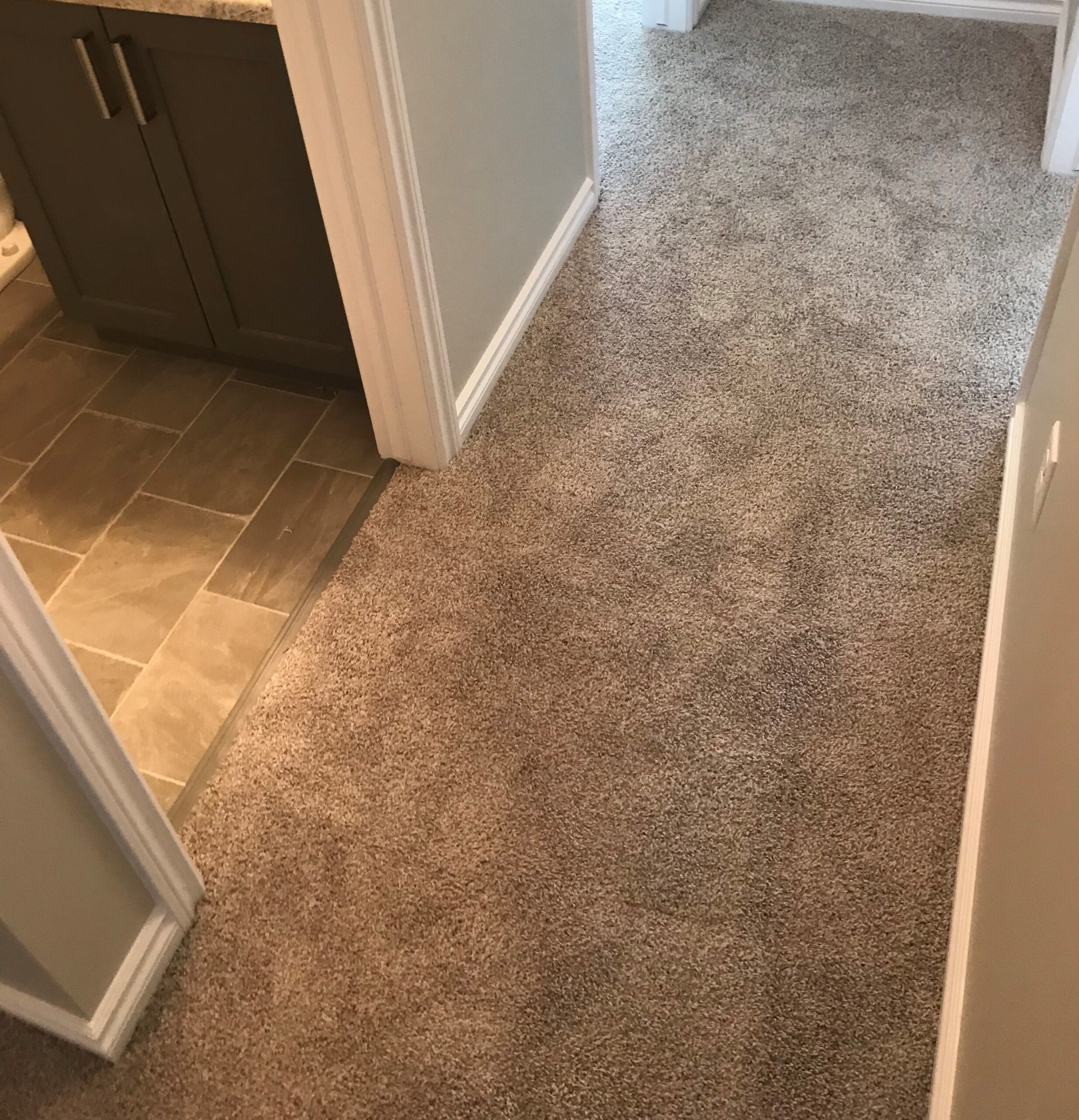 Hallway carpet installation in Edmonton
