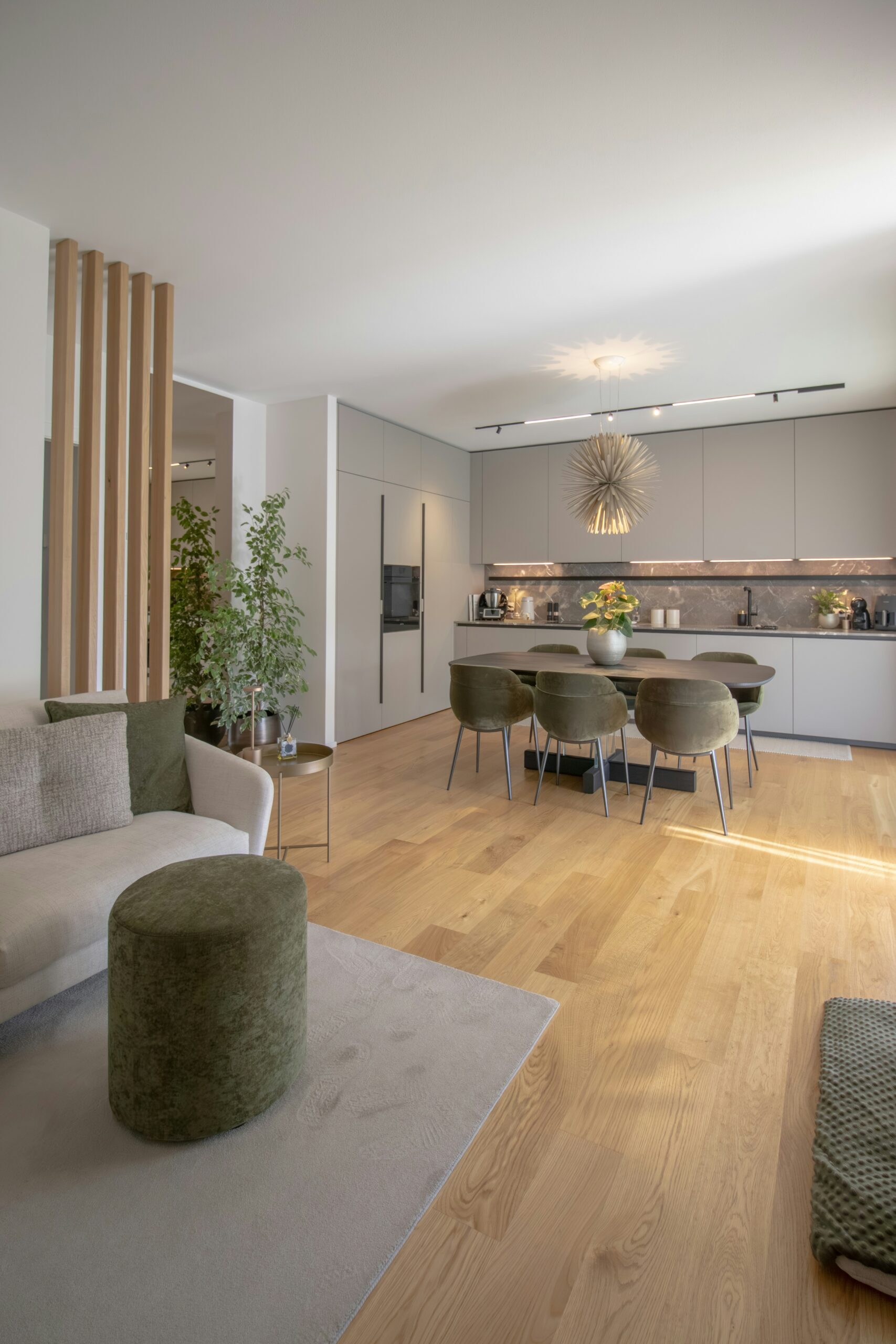 Modern living room with hardwood flooring